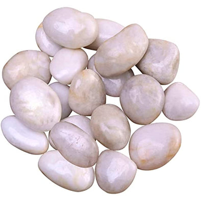 ZOLOSS Natural Polished White Pebbles - 5lb Smooth Small White River Rocks for Plants, Aquariums Rocks, Vase Fillers and Fairy Garden