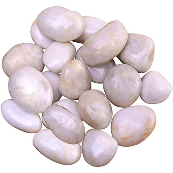 ZOLOSS Natural Polished White Pebbles - 5lb Smooth Small White River Rocks for Plants, Aquariums Rocks, Vase Fillers and Fairy Garden