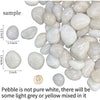 ZOLOSS Natural Polished White Pebbles - 5lb Smooth Small White River Rocks for Plants, Aquariums Rocks, Vase Fillers and Fairy Garden
