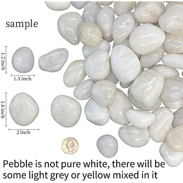 ZOLOSS Natural Polished White Pebbles - 5lb Smooth Small White River Rocks for Plants, Aquariums Rocks, Vase Fillers and Fairy Garden
