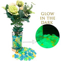 ZOLOSS Mixed Color Glow in The Dark Pebbles - Glow Rocks for Aquariums,Fish Tank, Potted Plant, Vase Filler, Indoor and Outdoor Walkway and DIY Project