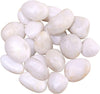 ZOLOSS Natural Polished White Pebbles - 5lb Smooth Small White River Rocks for Plants, Aquariums Rocks, Vase Fillers and Fairy Garden