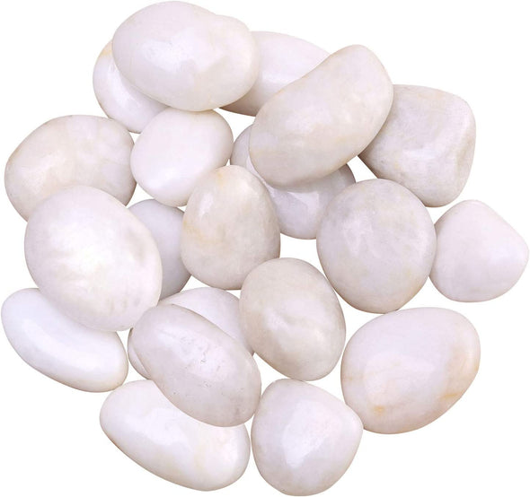 ZOLOSS Natural Polished White Pebbles - 5lb Smooth Small White River Rocks for Plants, Aquariums Rocks, Vase Fillers and Fairy Garden