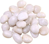 ZOLOSS Natural Polished White Pebbles - 5lb Smooth Small White River Rocks for Plants, Aquariums Rocks, Vase Fillers and Fairy Garden