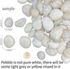 ZOLOSS Natural Polished White Pebbles - 5lb Smooth Small White River Rocks for Plants, Aquariums Rocks, Vase Fillers and Fairy Garden