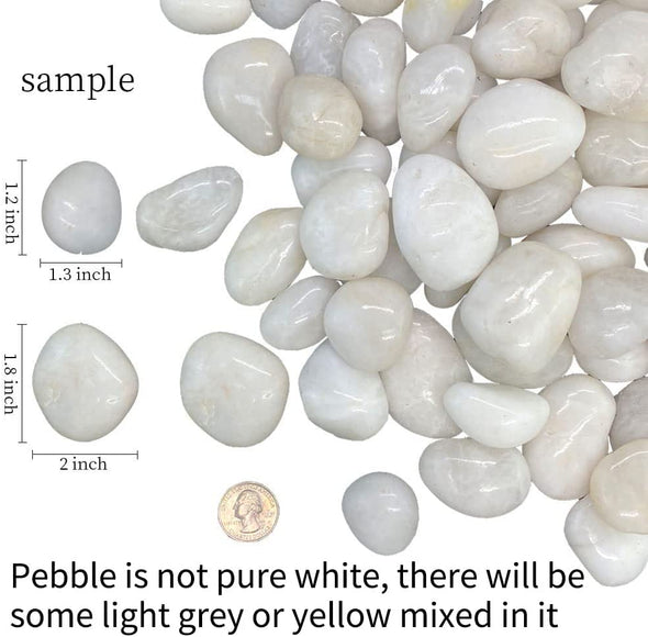 ZOLOSS Natural Polished White Pebbles - 5lb Smooth Small White River Rocks for Plants, Aquariums Rocks, Vase Fillers and Fairy Garden