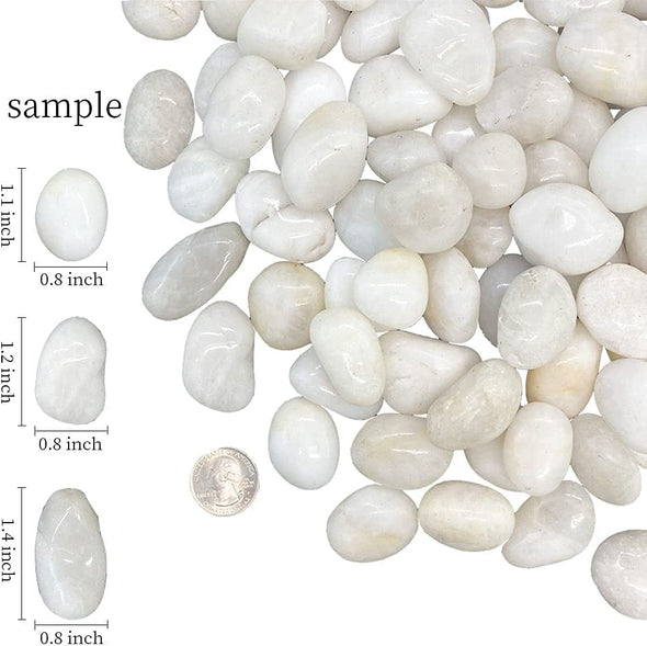 ZOLOSS Natural Polished White Pebbles - 5lb Smooth Small White River Rocks for Plants, Aquariums Rocks, Vase Fillers and Fairy Garden