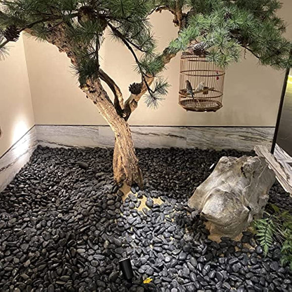 5lb Natural Polished Black River Rock Stones - Decorative Black Pebbles for Indoor Plants, Fish Tank Rocks, Vase Fillers and Fairy Garden. Aquarium Gravels for Turtle Frog Tank Outdoor Use