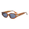 Vintage Women Sunglasses Small Retro Glasses Women/Men Leopard Eyeglasses Women Brand Designer Gafas